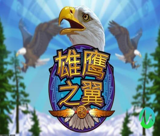 全民冠军足球